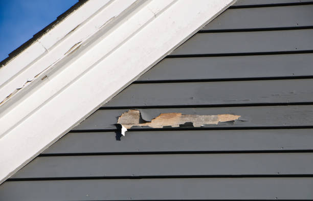 Best Insulated Siding Installation  in USA